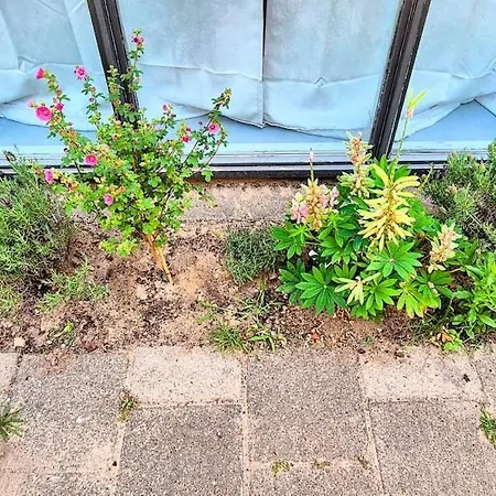 Apartment Garden
